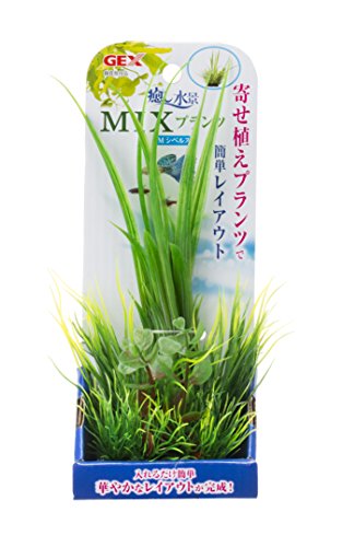 GEX ジェックス 癒し水景 MIXプランツ M シペルス(4.0)