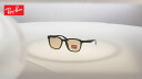 Ray-Ban レイバン サングラス 4392D 601/93(66)(4)