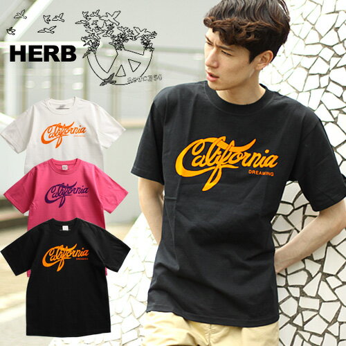 [期間SALE] HERB/ハーブ CALIFORNIA Tシャツ[メンズ レディー 半袖 Tシャツ ティーシャツ カットソー おしゃれ かっこいい 紳士 秋服 秋物 秋 冬服 冬物 冬 大人 彼氏 プレゼント] 50%～59%