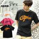 [SALE] HERB/n[u CALIFORNIA TVc[Y fB[  TVc eB[Vc Jbg\[   am H H H ~ ~ ~ l ގ v[g]50%`59%