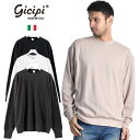 Gicipi/ジチピ CREW NECK KNIT IPPOPOTAMO スゥエット風合いニット リラックスフィット2205A