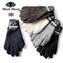 BLACK SHEEP/ブラックシープ ニットグローブ Hand Knit Plane Glove SM07[23年秋冬新作 メンズ ニット 手袋 グローブ ウ...