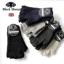 BLACK SHEEP/ubNV[v jbgO[u Hand Knit Plane Fingerless Glove SM08[23NH~V Y jbg  O[u E[ IChEE[ ϐ h   am H H H ~ ~ ~ l ގ v[g]