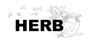 [期間SALE] HERB/ハーブ ORGAN...の紹介画像3