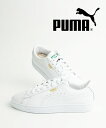 y2024NtĐVzv[} PUMA Xj[J[ V[Y C U[ fB[X [Jbg ʋ ʊw  Xg[gE374923-0122401(fB[X)(A-2)