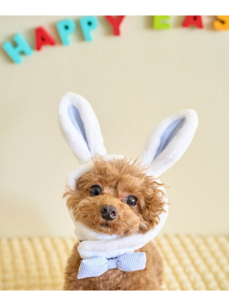 【SALE／50%OFF】【DOG】イースターうさぎ犬 ROPE' PICNIC PASSAGE ロペピクニック ペット用品 ペットウェア・ペット服 ホワイト【RBA_E】[Rakuten Fashion] jadorejunonline-10056907 J’aDoRe JUN ONLINE サンプル画像3
