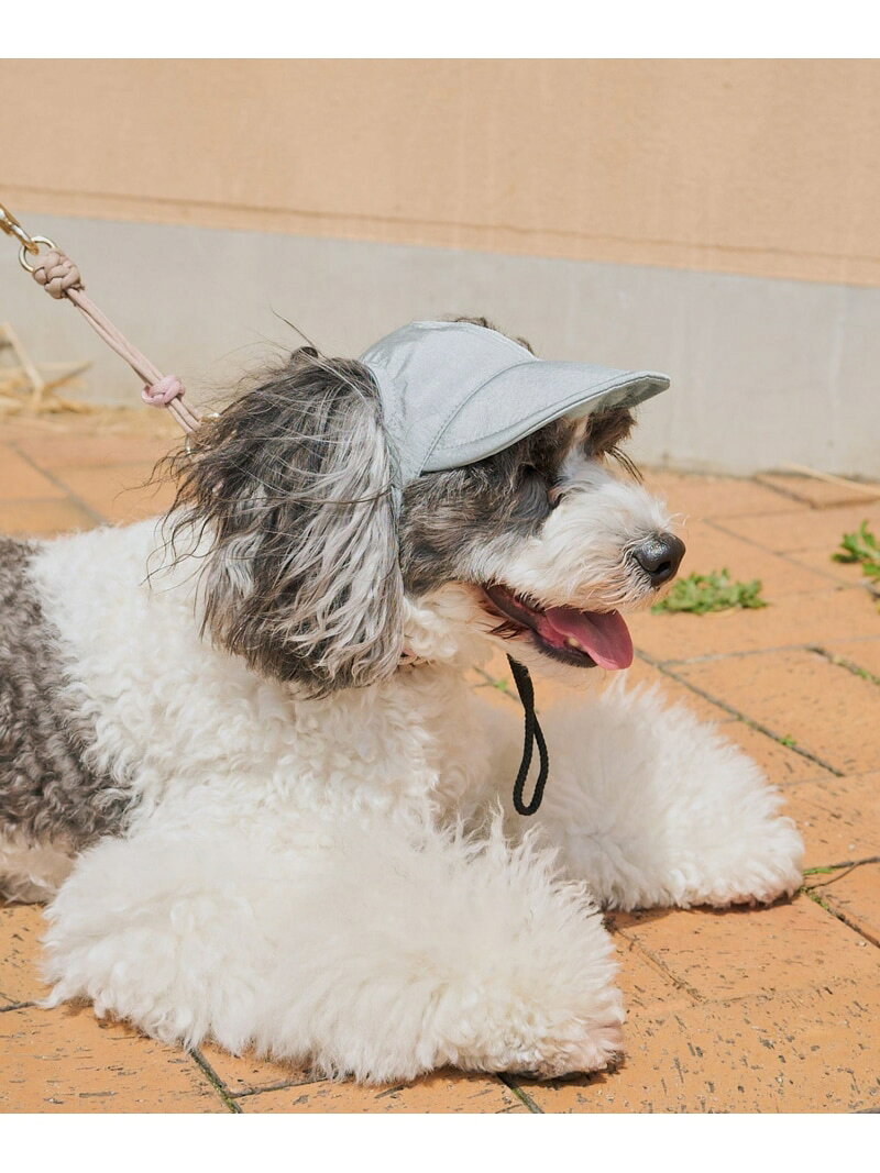 【SALE／50%OFF】【DOG】【comif(コミフ)*ROPE' PICNIC】シャイニーキャップ/リンクコーデ ROPE' PICNIC PASSAGE ロペピクニック ペット用品 ペットウェア・ペット服 ブルー【RBA_E】[Rakuten Fashion] jadorejunonline-10067275 J’aDoRe JUN ONLINE サンプル画像3