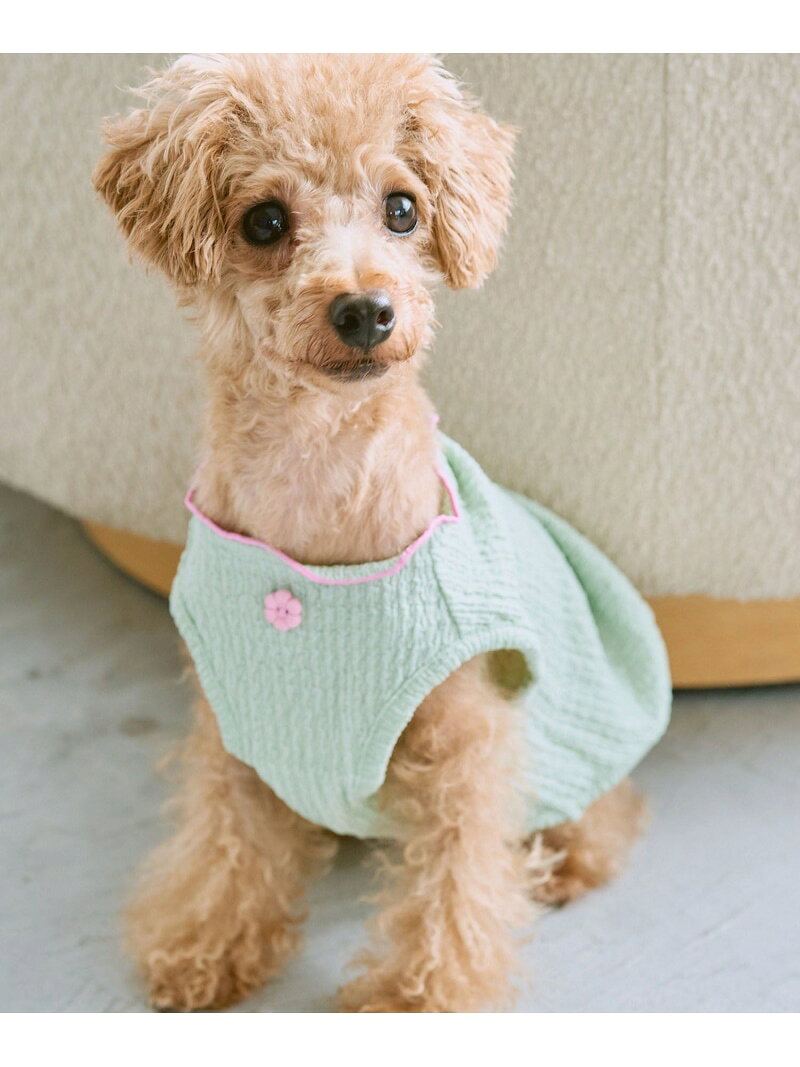 【SALE／60%OFF】【DOG】パイピングタンクトップ ROPE' PICNIC PASSAGE ロペピクニック ペット用品 ペットウェア・ペット服 イエロー【RBA_E】[Rakuten Fashion] jadorejunonline-10065947 J’aDoRe JUN ONLINE サンプル画像3