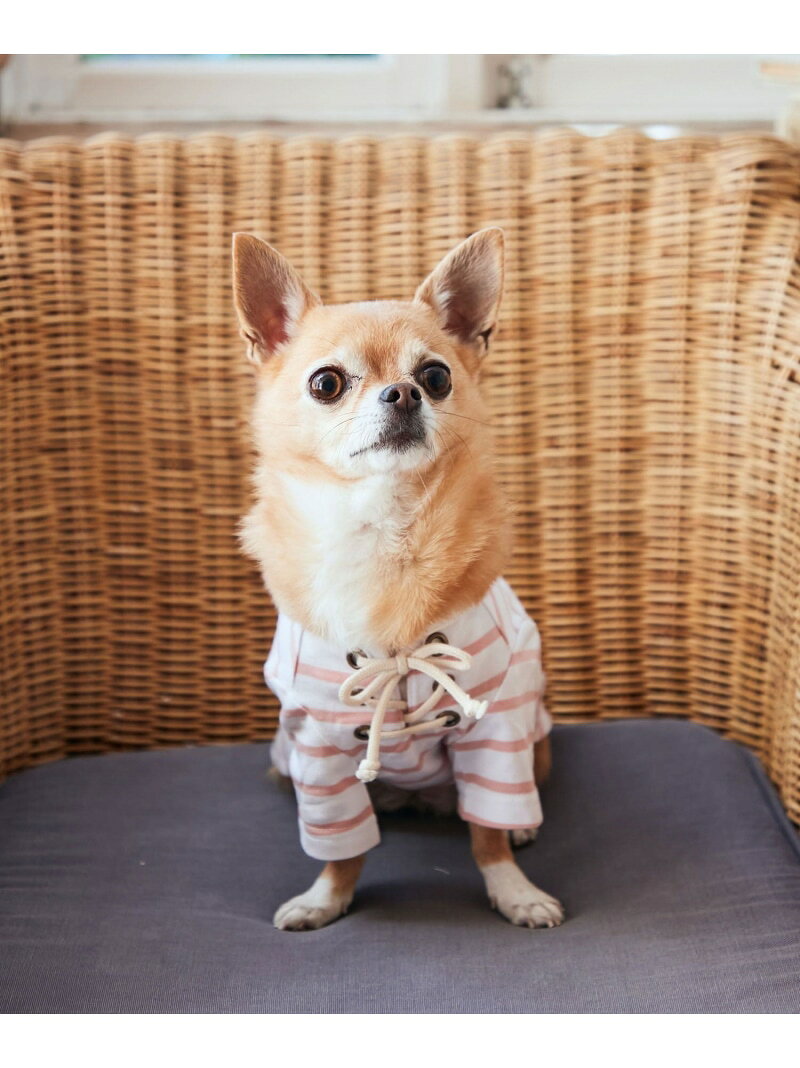 J’aDoRe JUN ONLINEの【SALE／50%OFF】【DOG】レースアップボーダーカットソー ROPE' PICNIC PASSAGE ロペピクニック ペット用品 ペットウェア・ペット服 ネイビー ピンク【RBA_E】[Rakuten Fashion]｜アングル2