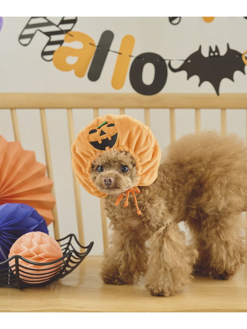 【DOG】ハロウィンかぼちゃ ROPE' PICNIC PASSAGE ロペピクニック ペット用品 ペットウェア・ペット服 オレンジ[Rakuten Fashion] jadorejunonline-10060687 J’aDoRe JUN ONLINE サンプル画像2