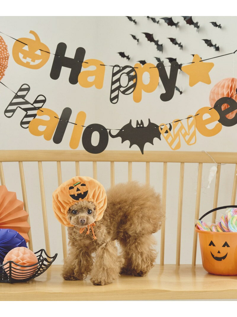 【DOG】ハロウィンかぼちゃ ROPE' PICNIC PASSAGE ロペピクニック ペット用品 ペットウェア・ペット服 オレンジ[Rakuten Fashion] jadorejunonline-10060687 J’aDoRe JUN ONLINE サンプル画像3