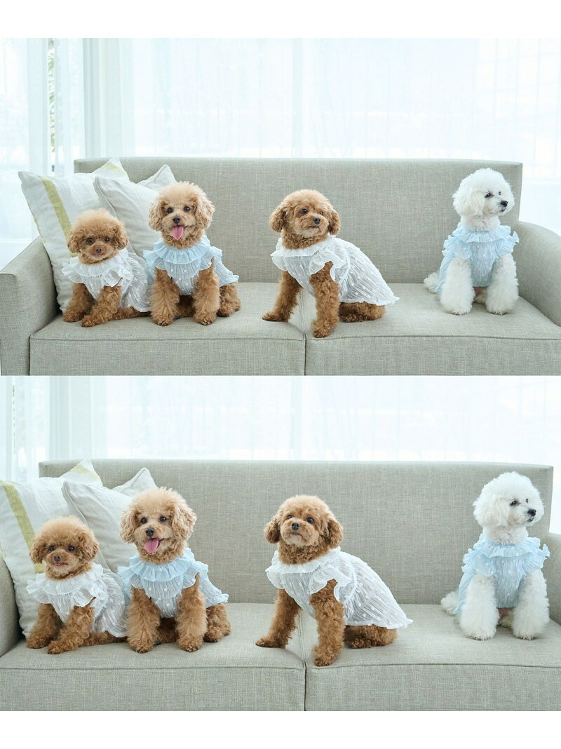 【SALE／45%OFF】【DOG】シアードットワンピース ROPE' PICNIC PASSAGE ロペピクニック ペット用品 ペットウェア・ペット服 ホワイト【RBA_E】[Rakuten Fashion] jadorejunonline-10074609 J’aDoRe JUN ONLINE サンプル画像3
