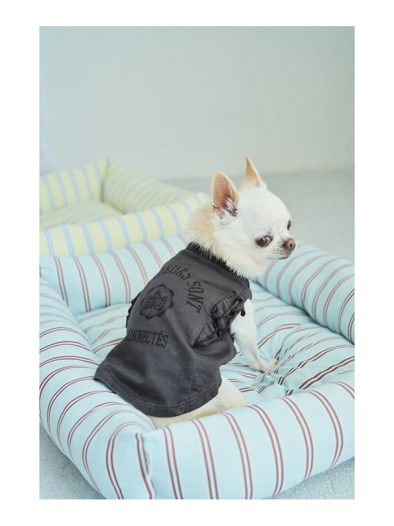 【SALE／45%OFF】【DOG】カレッジロゴプリントピグメントTシャツ/リンクコーデ ROPE' PICNIC PASSAGE ロペピクニック ペット用品 ペットウェア・ペット服 ホワイト【RBA_E】[Rakuten Fashion] jadorejunonline-10076015 J’aDoRe JUN ONLINE サンプル画像3