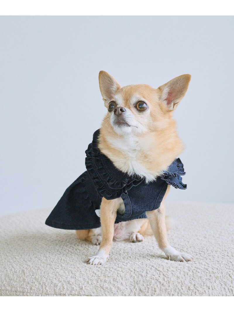 【SALE／55%OFF】【DOG】襟付きデニムワンピース ROPE' PICNIC PASSAGE ロペピクニック ペット用品 ペットウェア・ペット服 ネイビー【RBA_E】[Rakuten Fashion] jadorejunonline-10065630 J’aDoRe JUN ONLINE サンプル画像3