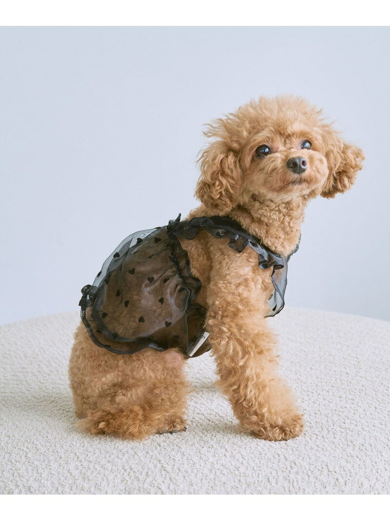 【SALE／60%OFF】【DOG】シアーハート柄キャミソール ROPE' PICNIC PASSAGE ロペピクニック ペット用品 ペットウェア・ペット服 ブラック【RBA_E】[Rakuten Fashion] jadorejunonline-10065527 J’aDoRe JUN ONLINE サンプル画像3