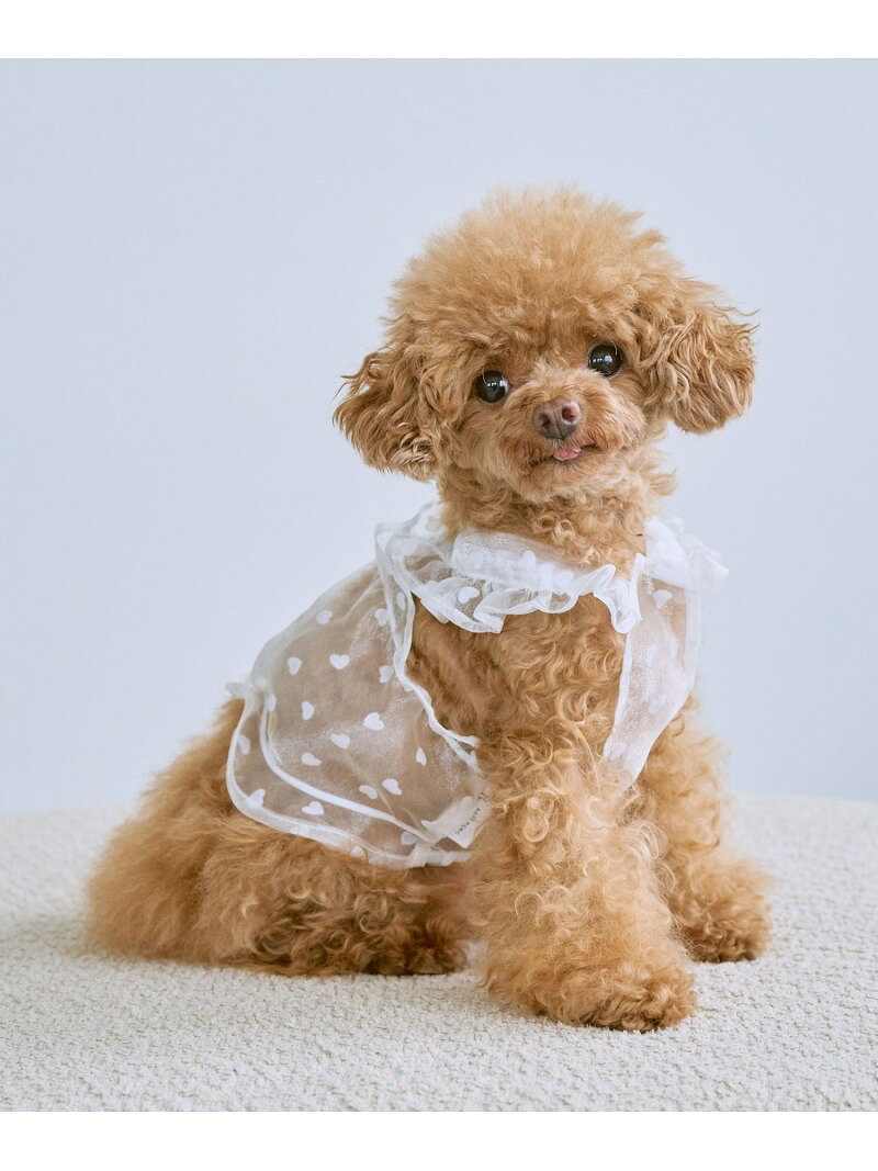 【SALE／60%OFF】【DOG】シアーハート柄キャミソール ROPE' PICNIC PASSAGE ロペピクニック ペット用品 ペットウェア・ペット服 ブラック【RBA_E】[Rakuten Fashion] jadorejunonline-10065527 J’aDoRe JUN ONLINE サンプル画像2