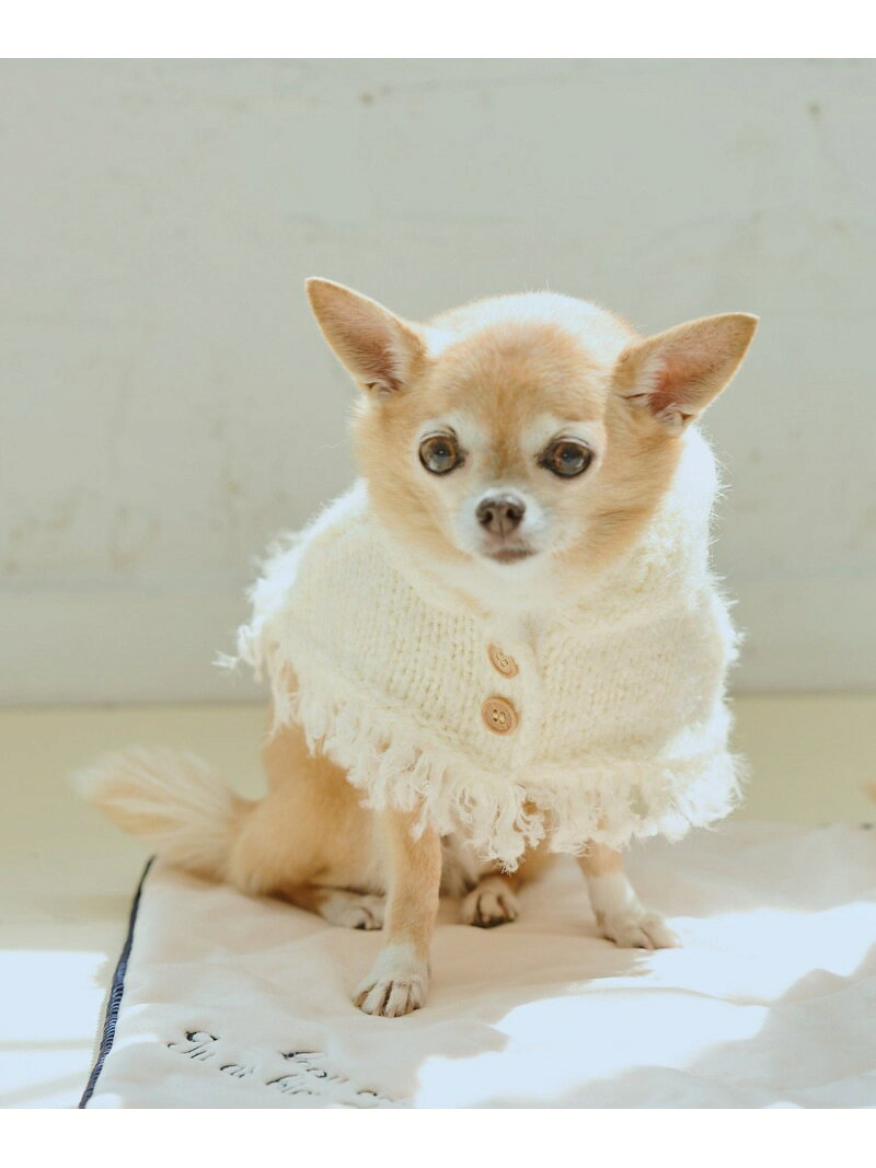 【SALE／30%OFF】【DOG】ニットポンチョ ROPE' PICNIC PASSAGE ロペピクニック ペット用品 ペットウェア・ペット服 ブルー【RBA_E】[Rakuten Fashion] jadorejunonline-10071517 J’aDoRe JUN ONLINE サンプル画像3