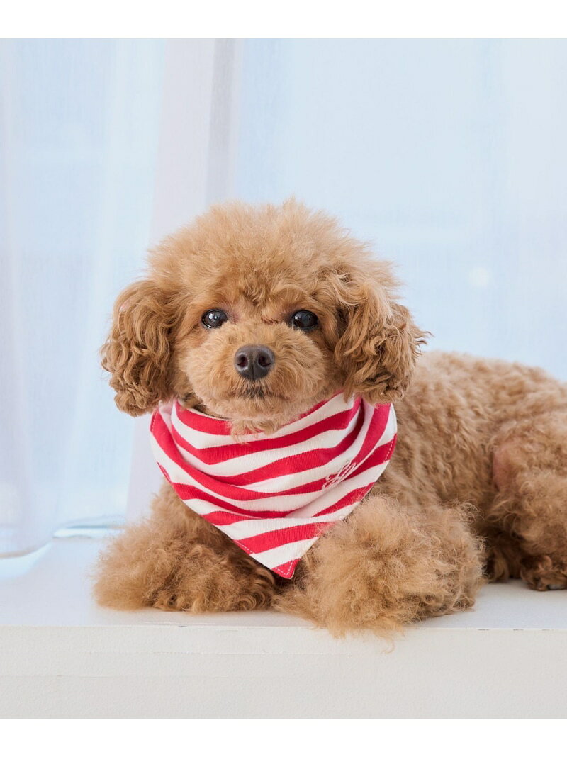 【SALE／50%OFF】【DOG】バンダナ スカーフ ROPE' PICNIC PASSAGE ロペピクニック ペット用品 ペットウェア・ペット服 レッド ネイビー ピンク【RBA_E】[Rakuten Fashion] jadorejunonline-10064443 J’aDoRe JUN ONLINE サンプル画像2