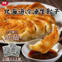 北海道冷凍生ぎょうざ96個 要冷凍 北海道 グルメ 惣菜 スープ 鍋 お取り寄せ おいしい 豚肉 物産展 お土産 水餃子 焼き餃子 ぎょうざ 生餃子 ご当地