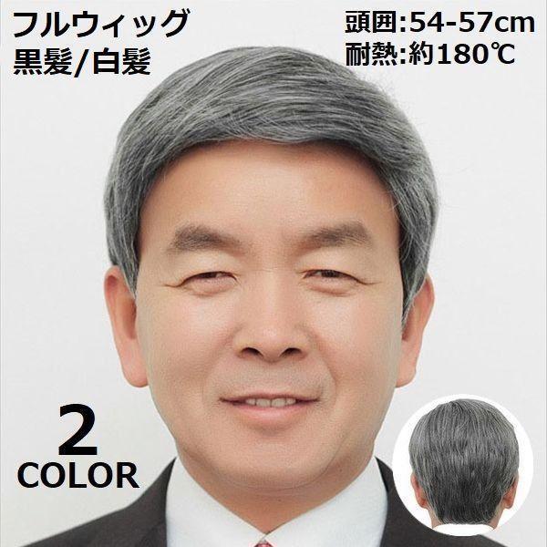 フルウィッグ かつら メンズ 男性用 お年寄り用 中高年 白髪 ブラック 黒 ナチュラル 自然 ミディアムショート ストレート(4)