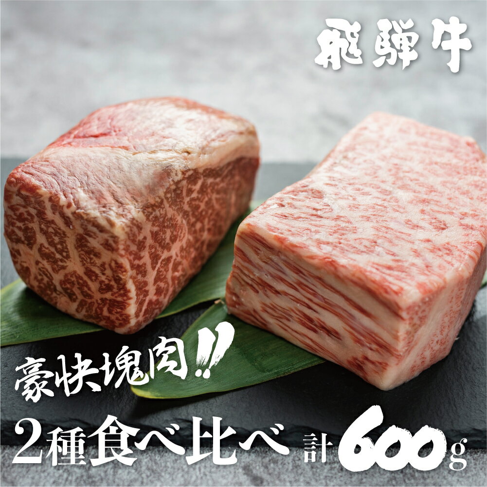 飛騨牛 ブロック [塊] 霜降り 赤身 600g (300g×2) 牛肉 牛ブロック (用途 ローストビーフ ステーキ BBQ キャンプ など ) 訳あり 部位お..