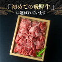 【JAひだ】 飛騨牛 上切り落とし（もも・肩・バラ） 希少部位入り 1kg (500g×2) 和牛 牛肉　肉　牛 送料無料 しゃぶしゃぶ すき焼き 冷凍 訳あり　不揃い ※北海道・沖縄・一部離島別途送料1000円※ 2