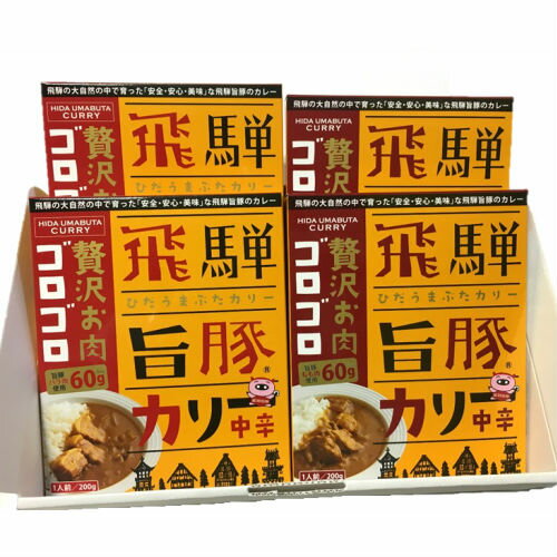 【JAひだ】飛騨旨豚カリー 200g×4　カレー ブランド豚 旨豚 バラ肉 もも肉 中辛 送料無料 ※北海道・沖縄・一部離島別途送料1000円※のサムネイル