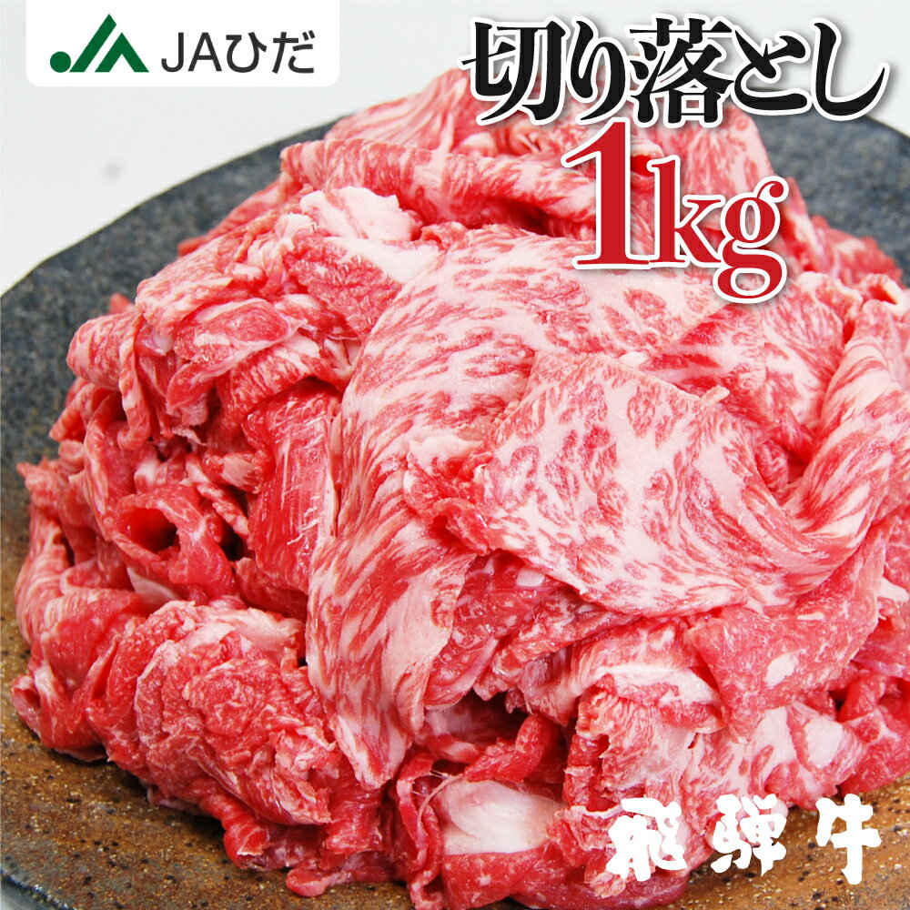 【JAひだ】飛騨牛 切り落とし 1kg (500g×2) 送料無料 牛肉 和牛 肉 牛 部位が選べないお得な 訳あり 不揃い　すき焼き しゃぶしゃぶ 薄切り すき焼き肉 冷凍 ※北海道・沖縄・一部離島別途送料1000円