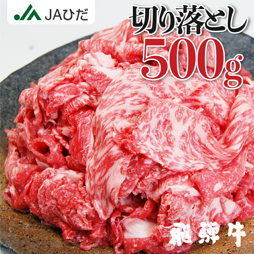 【JAひだ】飛騨牛 切り落とし 500g 冷凍 送料無料 牛肉 和牛 国産 部位おまかせの 訳あり JA飛騨 すき焼き 薄切り　観光地応援