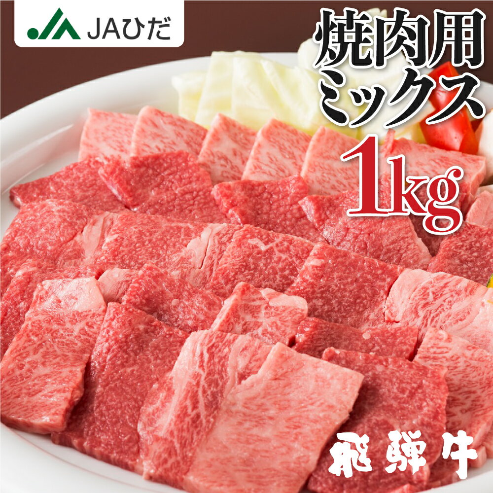 【JAひだ】飛騨牛 焼肉用 ごちゃまぜミックス 1kg (500g×2)　焼き肉　お歳暮 （もも　ロース　肩ロース） 訳あり ミックス 肉 牛肉 JA飛騨 BBQ ギフト 冷凍 ※北海道・沖縄・一部離島別途送料1000円