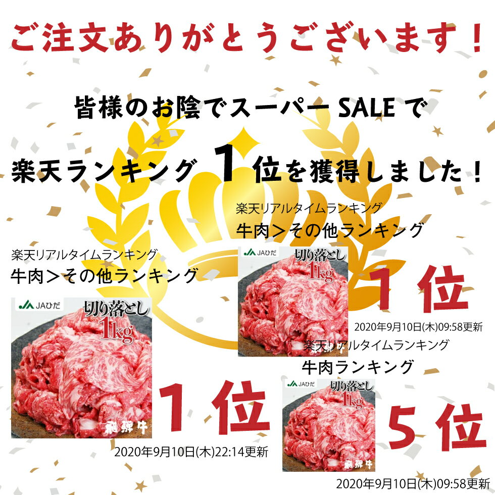 【JAひだ】飛騨牛 切り落とし 1kg (500g×2) 送料無料 牛肉 和牛 肉 牛 部位が選べないお得な 訳あり 不揃い　すき焼き しゃぶしゃぶ 薄切り すき焼き肉 冷凍 ※北海道・沖縄・一部離島別途送料1000円