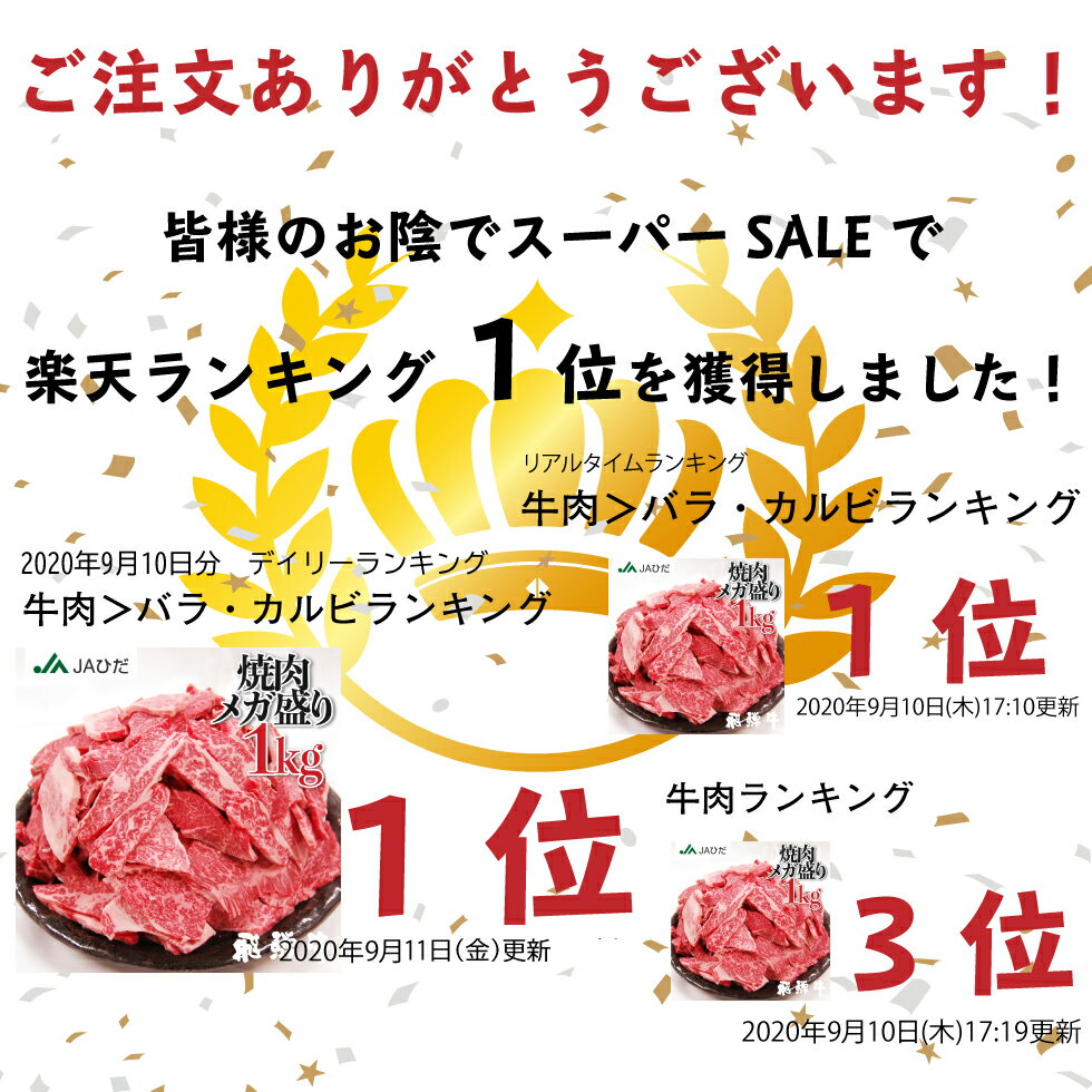 【JAひだ】飛騨牛 焼き肉 メガ盛り 1kg 牛肉 焼肉 カルビ　肉　福袋 3〜5人前 送料無料 お歳暮 冷凍 JA飛騨 和牛 観光地応援 部位が選べない 訳あり 肉 牛 焼き肉セット 帰省暮 帰歳暮