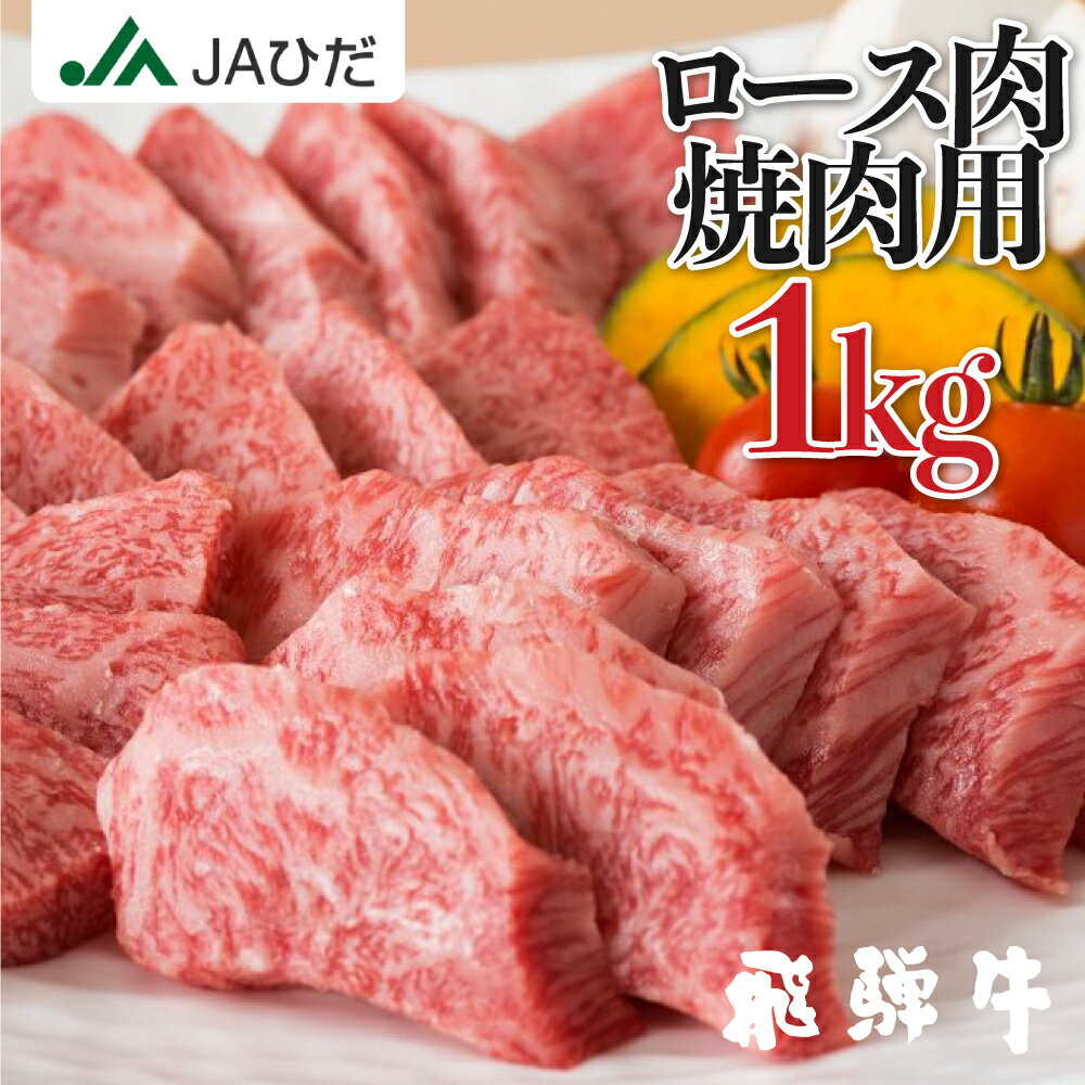 【JAひだ】飛騨牛 焼肉用 ロース肉 1kg 500g 2 ロース リブロース ・ サーロイン 焼き肉 霜降り 高級 肉 牛肉 霜降り肉 JA飛騨 BBQ お歳暮 ギフト 和牛 冷凍 北海道・沖縄・一部離島別途送料10…