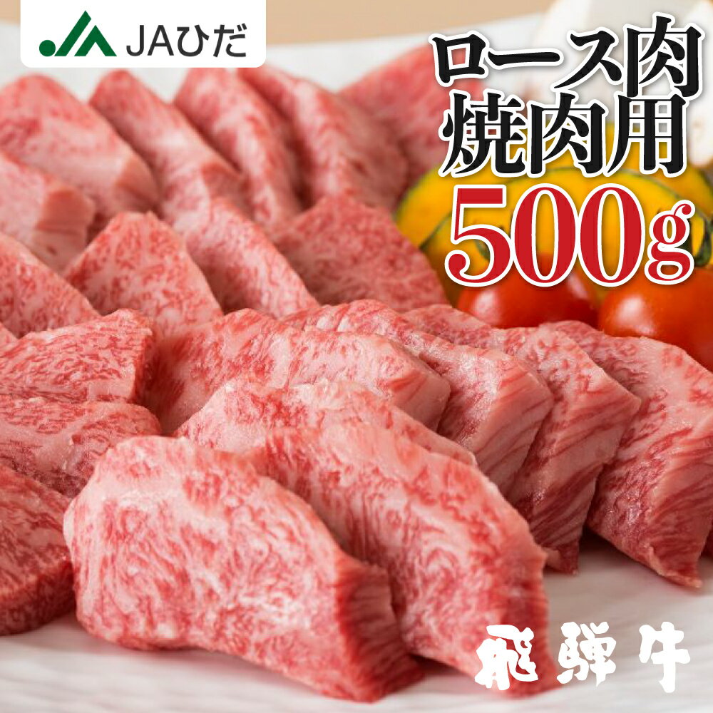 【JAひだ】飛騨牛 焼き肉 ロース 500g