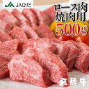 【JAひだ】飛騨牛 焼き肉 ロース 500g お歳暮　ロース （リブロース・サーロイン）焼肉 霜降り ...