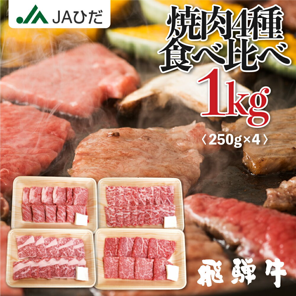 【JAひだ】飛騨牛 焼肉 1kg（250g×4種類 食べ比べ） 3〜5人前 冷凍 焼き肉 観光地応援 和牛 バーベキュー お歳暮 送料無料 コロナ 応援 JA飛騨 もも ロース バラ 肩ロース ブランド牛 個包装