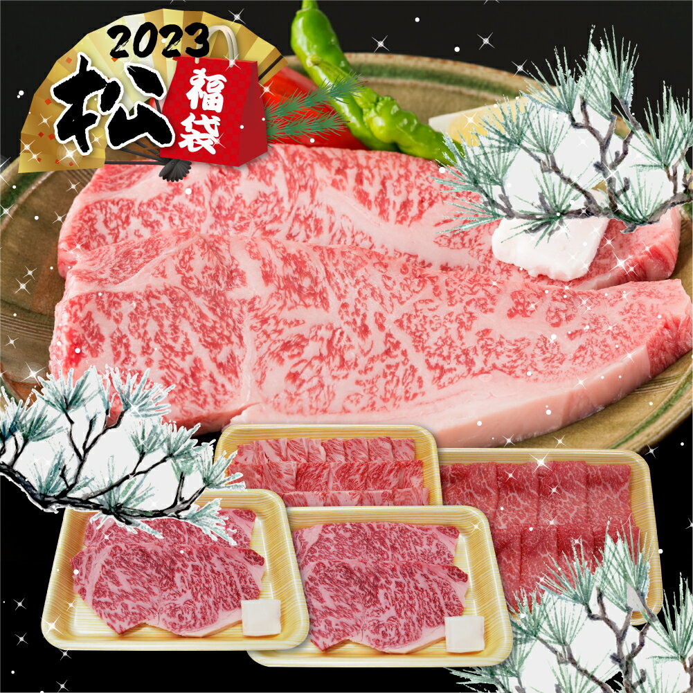 【数量限定】 飛騨牛 肉福袋 「松」福袋 牛肉 2023 - 2024 サーロインステーキ200g×4枚 肩ロース焼肉500g ももすき焼き500g 食品 肉 すき焼き ステーキ 焼き肉