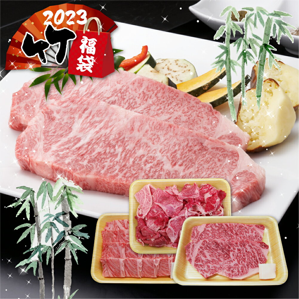 【数量限定】 飛騨牛 肉福袋 「竹」福袋 2023 - 2024 牛肉 サーロインステーキ200g×2枚 肩ロース焼肉500g ミックスうす切り500g ステーキ / 焼き肉 / すき焼き 食品 肉 お楽しみ