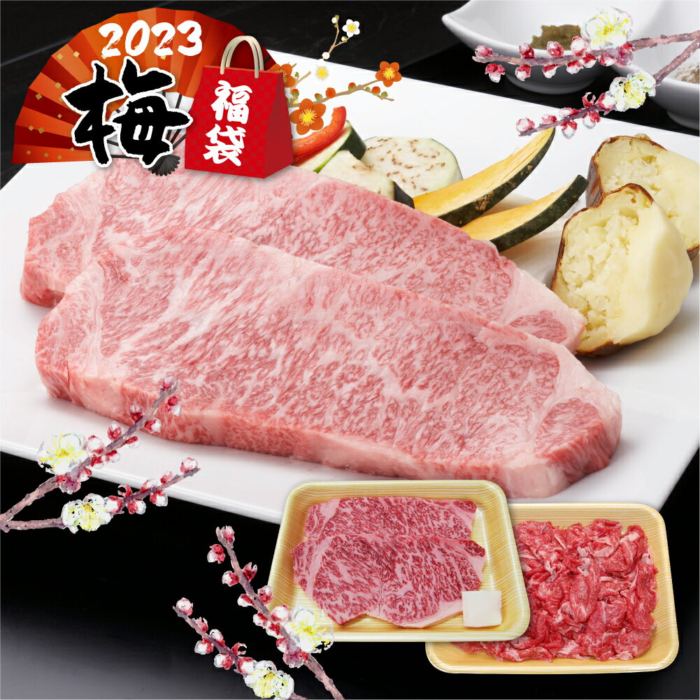 【数量限定】 飛騨牛 肉福袋 「梅」福袋 2023 - 2024 牛肉 サーロインステーキ 2枚　切り落とし 500g　肉 すき焼き / ステーキ 食品のサムネイル