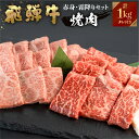 【JAひだ】 飛騨牛 牛肉 焼肉 赤身 霜降り 食べ比べ 1kg ( 500g×2種) A4等級以上 送料無料 バーベキュー BBQ のし対応 お祝い ギフトに 帰省暮　帰歳暮 冷凍 ※北海道・沖縄・一部離島別途送料1000円