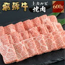 【JAひだ】 飛騨牛 牛肉 焼肉 上カルビ 600g A4等級以上 焼き肉送料無料 のし対応 お祝い ギフトに JA飛騨 冷凍 ※北海道・沖縄・一部離島別途送料1000円