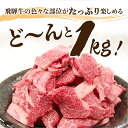 【JAひだ】飛騨牛 焼き肉 メガ盛り 1kg 牛肉 焼肉 カルビ　肉 福袋 3～5人前 送料無料 部位が選べない 訳あり 不揃い わけあり 冷凍 JA飛騨 和牛 観光地応援 　切り落とし 肉 牛 焼き肉セット BBQ　バーベキュー 2