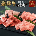 【JAひだ】 飛騨牛 牛肉 焼肉 赤身 霜降り 食べ比べ 150g×4種 600g A4等級以上 送料無料 のし対応 お祝い ギフトに JA飛騨 冷凍 ※北海道...