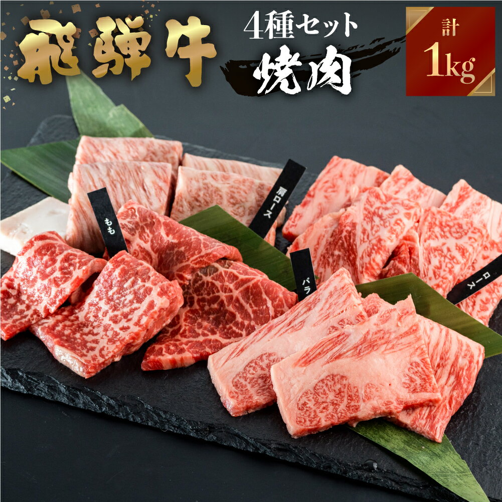 飛騨牛 【JAひだ】 飛騨牛 焼肉 1kg（250g×4種類 食べ比べ） 3～5人前 冷凍 焼き肉 和牛 焼肉 バーベキュー BBQ 送料無料 コロナ 応援 JA飛騨 もも ロース バラ 肩ロース ブランド牛 個包装 簡易包装