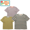 HAVE A GRATEFUL DAY ハブ ア グレイトフル デイ GDC0308JQAD JACQUARD T-SHIRT ジャカード ティーシャツ ボーダー ショートスリーブ Tシャツ 半袖 トップス ナチュラル アウトドア メンズ ユニセックス 3カラー 2024SS