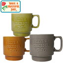 HAVE A GRATEFUL DAY ハブ ア グレイトフルデイ GDG0227MUGC VINTAGE MUG CUP ヴィンテージ マグ カップ 日本製 コップ 食器 ロゴ ナチュラル アウトドア キャンプ インテリア グッズ 雑貨 メンズ レディース ユニセックス 3カラー(3)