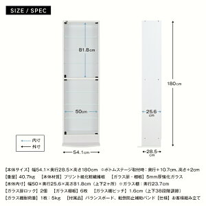 ★5%OFF★オトクな2点セットJAJANフィギュアラックサードレギュラー幅55cm奥行29cm(ハイタイプ本体+背面ミラー)コレクションケースコレクションラックコレクションボード