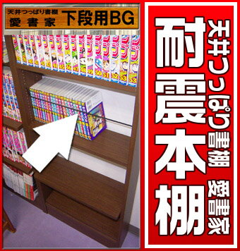 【本棚】書棚 奥行き17センチ 天井つっぱり書棚 愛書家 専用 下段本体用ブックガード 【RCP】【-JAJAN SPU-】