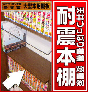 ■地震対策■ 本収納のQ極 愛書家さん専用本棚 奥行き17cm 天井つっぱり書棚 本棚 薄型 送料無料 スリム JAJAN薄型大容量突っ張り本棚 転倒防止 設置ラクラク完成品お届け 書棚 完成品本棚 本収納 コミック収納