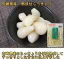 熟成甘らっきょう 国産 無添加 80gx20袋 らっきょう漬け 送料無料 カリカリらっきょう漬け お歳暮 らっきょ 漬け物 還暦 B級グルメ 上沖産業 ギフト ...